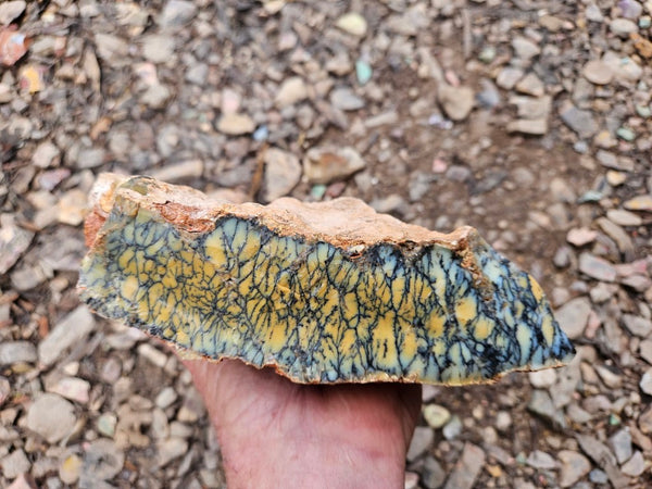 Dendritic Opal  rough.  DOR265