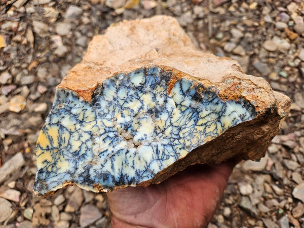 Dendritic Opal  rough.  DOR265