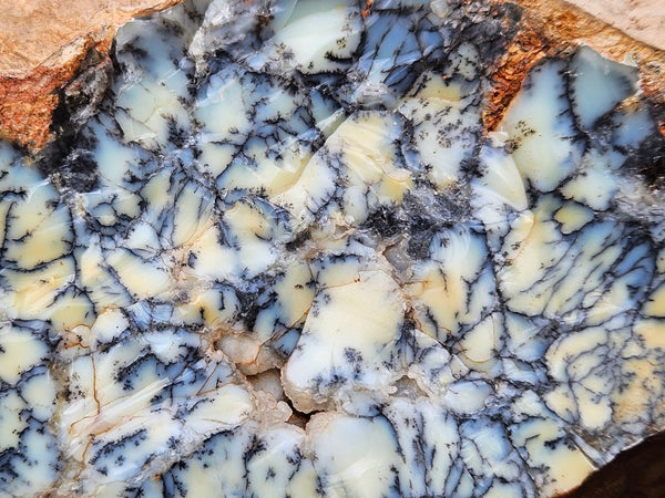 Dendritic Opal  rough.  DOR265