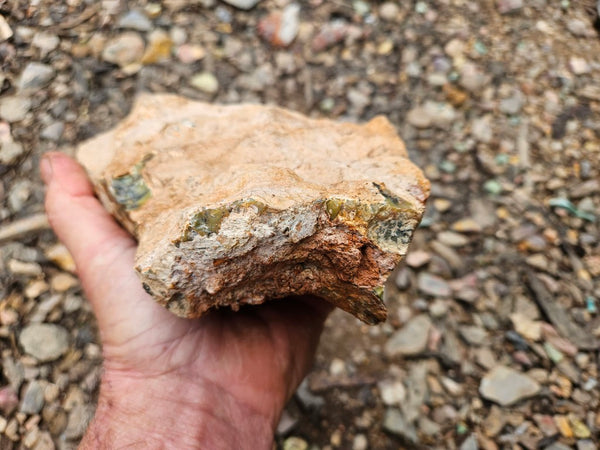 Dendritic Opal  rough.  DOR265