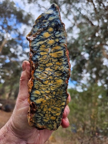 Dendritic Opal  rough.  DOR265