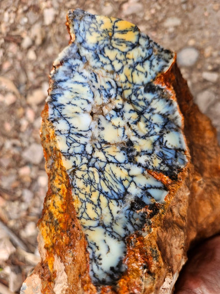 Dendritic Opal  rough.  DOR265