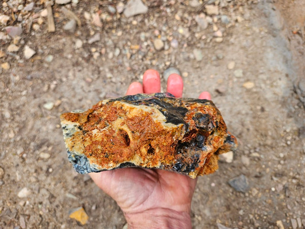 Dendritic Opal  rough.  DOR266