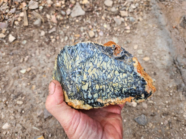 Dendritic Opal  rough.  DOR266