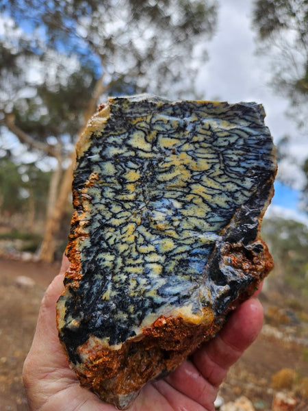 Dendritic Opal  rough.  DOR266