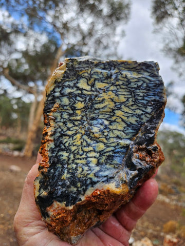 Dendritic Opal  rough.  DOR266