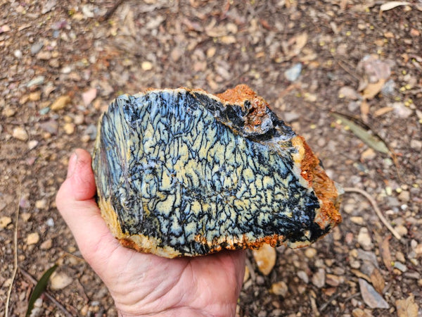 Dendritic Opal  rough.  DOR266