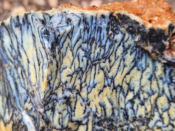 Dendritic Opal  rough.  DOR266