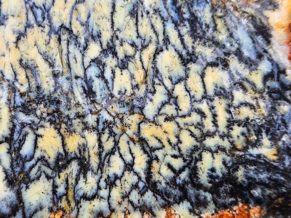 Dendritic Opal  rough.  DOR266