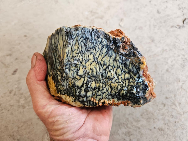 Dendritic Opal  rough.  DOR266