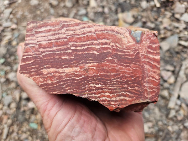 Snakeskin Jasper rough.  SSR 170