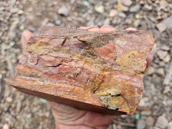 Snakeskin Jasper rough.  SSR 170