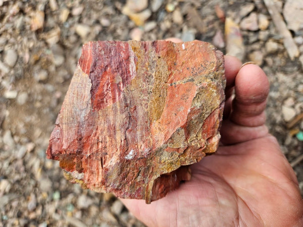 Snakeskin Jasper rough.  SSR 170