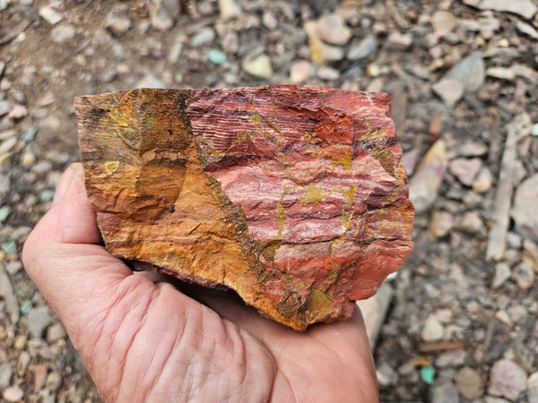 Snakeskin Jasper rough.  SSR 170