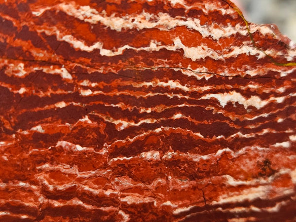 Snakeskin Jasper rough.  SSR 170