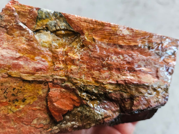 Snakeskin Jasper rough.  SSR 170