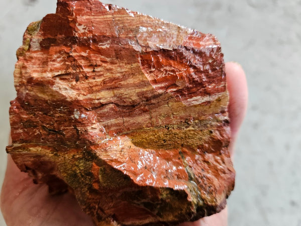 Snakeskin Jasper rough.  SSR 170