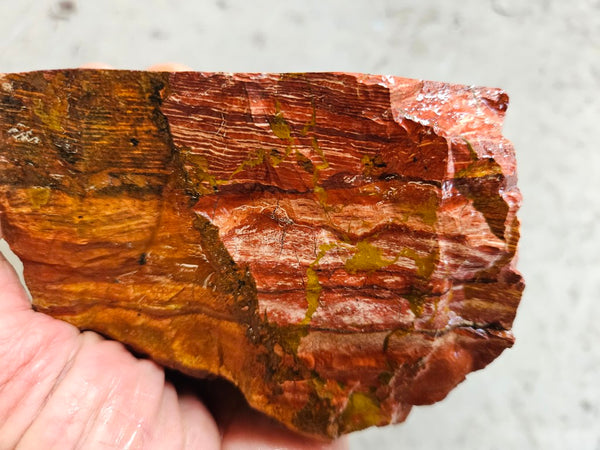 Snakeskin Jasper rough.  SSR 170