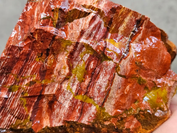 Snakeskin Jasper rough.  SSR 170