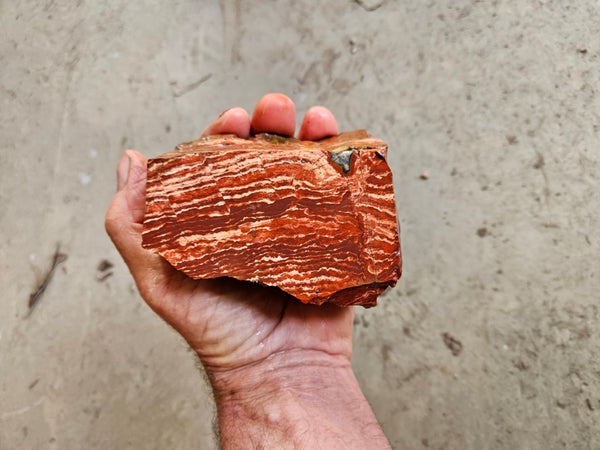 Snakeskin Jasper rough.  SSR 170
