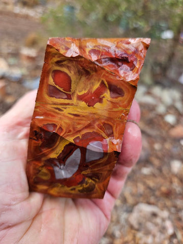 Noreena Jasper rough NJR186