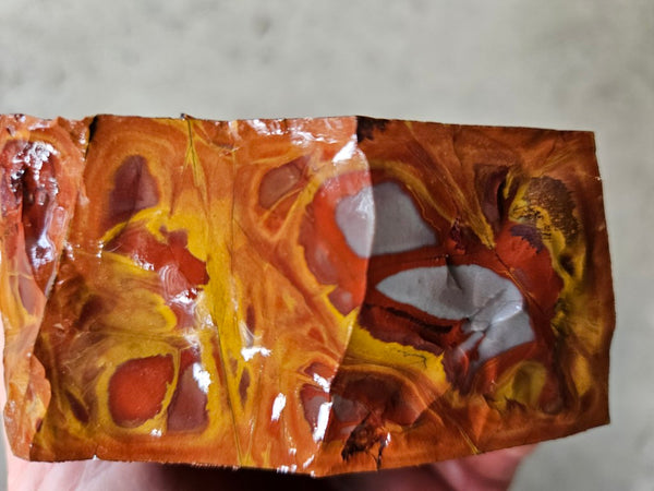 Noreena Jasper rough NJR186