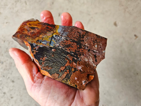 Noreena Jasper rough NJR186