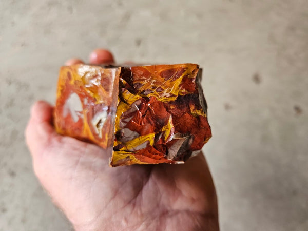 Noreena Jasper rough NJR186