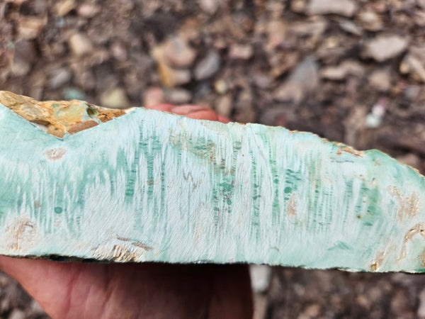 Variscite rough. VR584