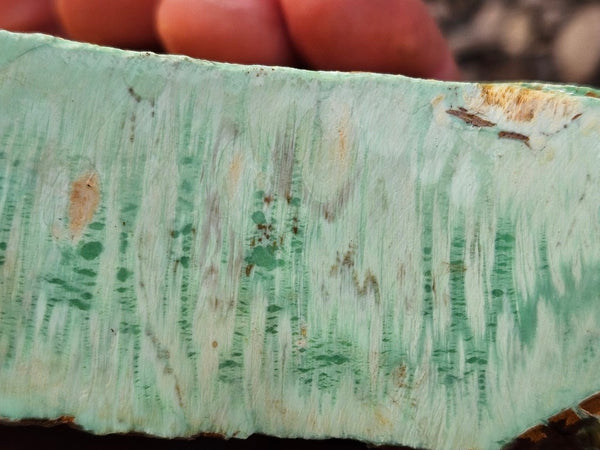 Variscite rough. VR584