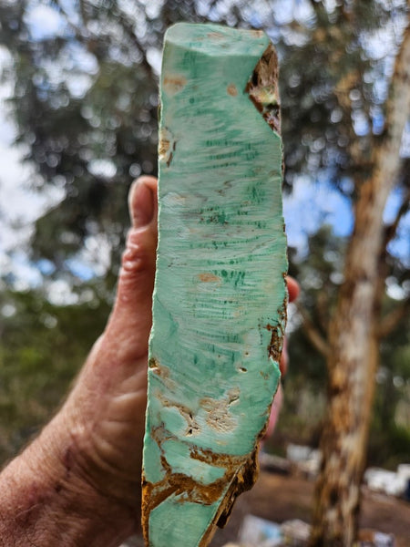 Variscite rough. VR584