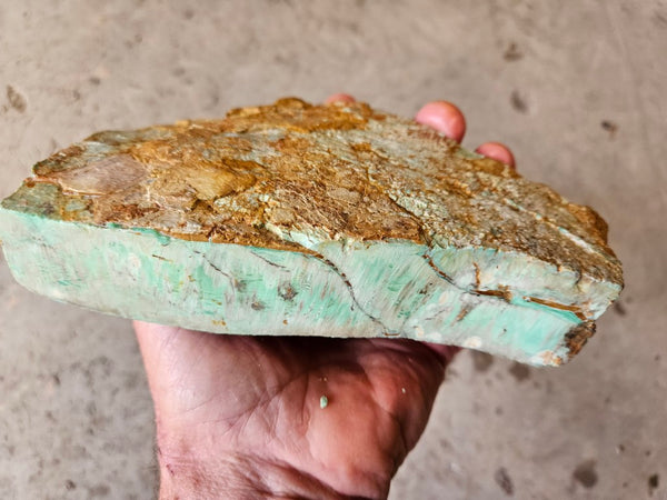 Variscite rough. VR584