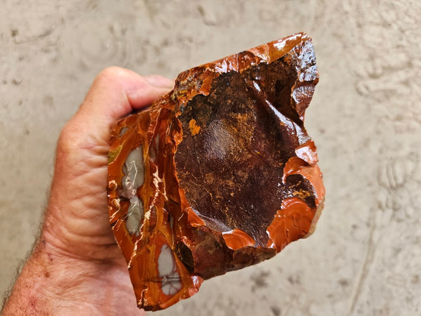 Noreena Jasper rough NJR187