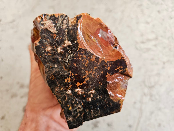 Noreena Jasper rough NJR187
