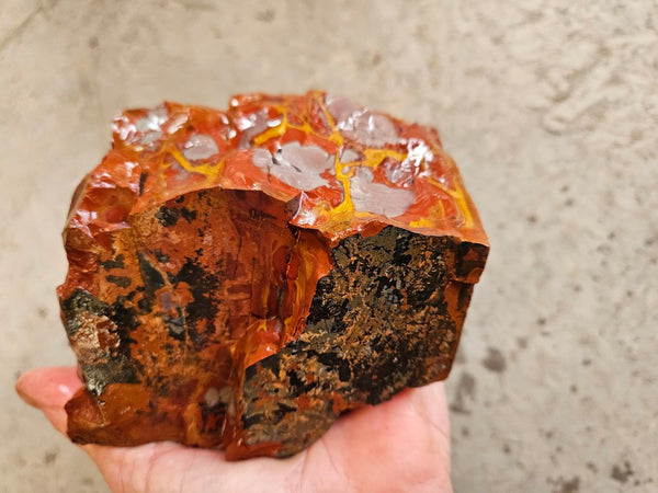 Noreena Jasper rough NJR187
