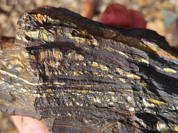 Tiger Iron rough rock TIR172
