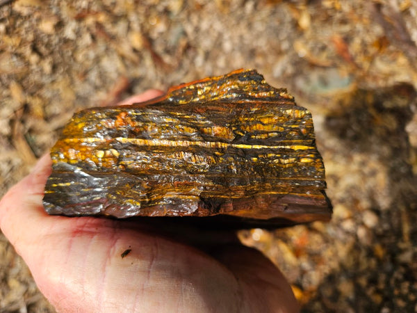 Tiger Iron rough rock TIR172