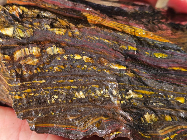 Tiger Iron rough rock TIR172