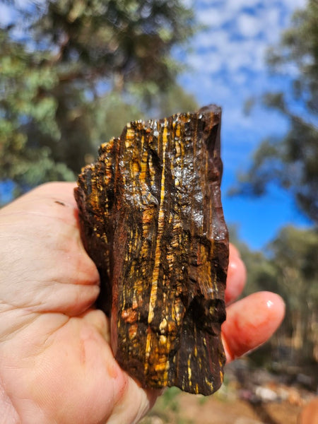 Tiger Iron rough rock TIR172