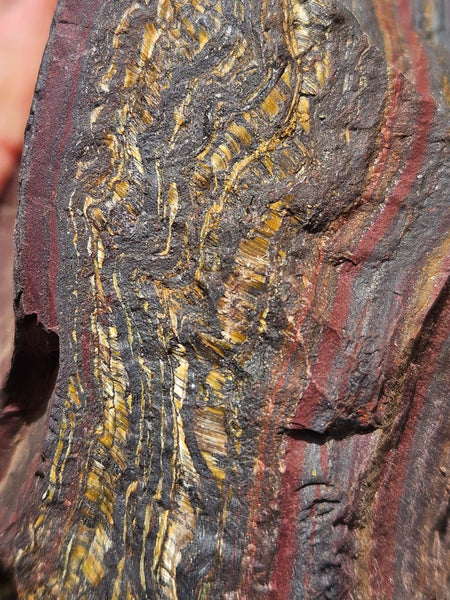 Tiger Iron rough rock TIR173