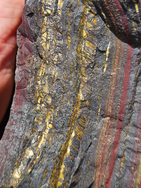 Tiger Iron rough rock TIR173