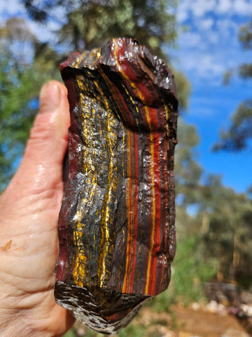 Tiger Iron rough rock TIR173