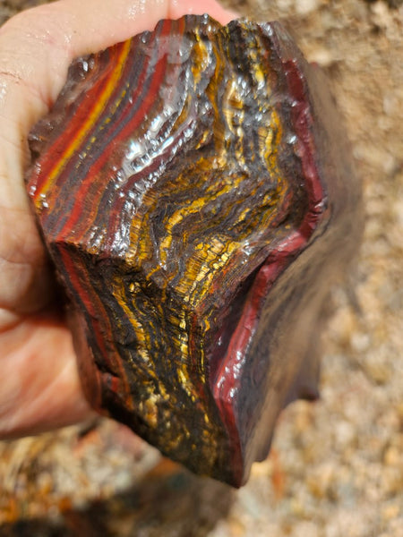 Tiger Iron rough rock TIR173