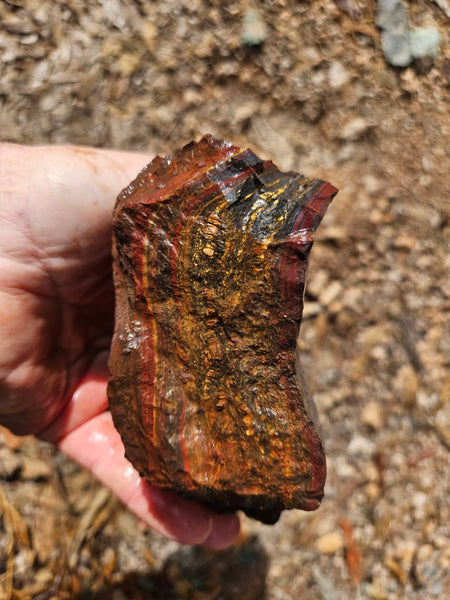 Tiger Iron rough rock TIR173