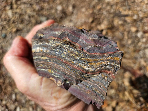 Tiger Iron rough rock TIR174