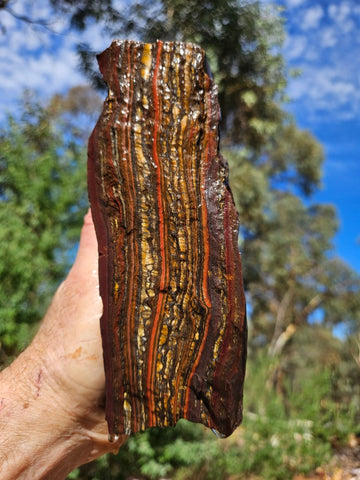 Tiger Iron rough rock TIR174