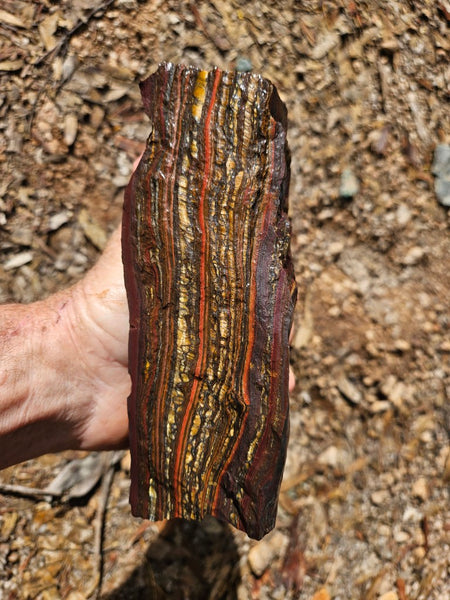Tiger Iron rough rock TIR174