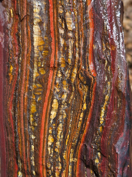 Tiger Iron rough rock TIR174