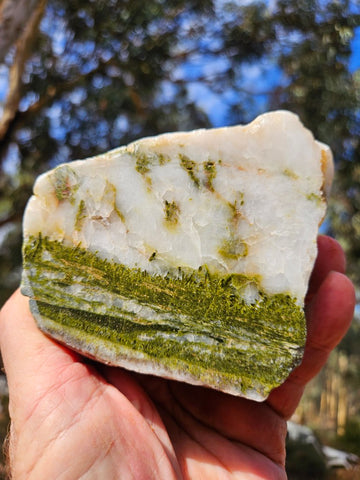 Epidote, Quartz & Axinite EPI80