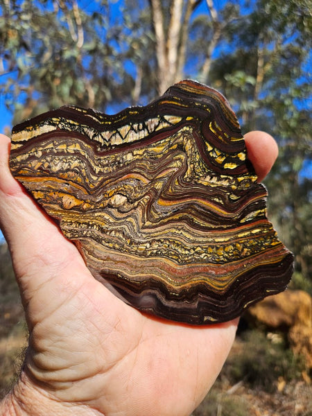 Polished Tiger Iron slab TI357